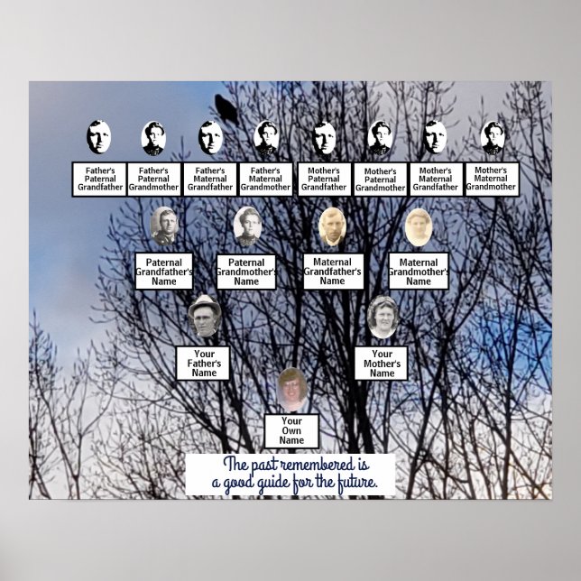 Bird in Winter Tree Photo Family Tree Poster (Front)