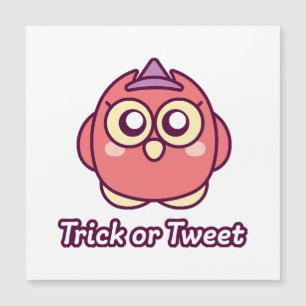 Bird Lover Halloween Cute Owl Witch