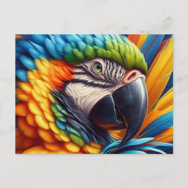 Bird Lover Macaw Parrot  Postcard (Front)
