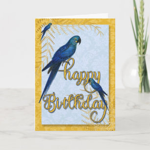 Bird Lover's Birthday Vintage Macaw Parrots Card