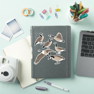 Bird Lovers Canada Geese Illustration Set