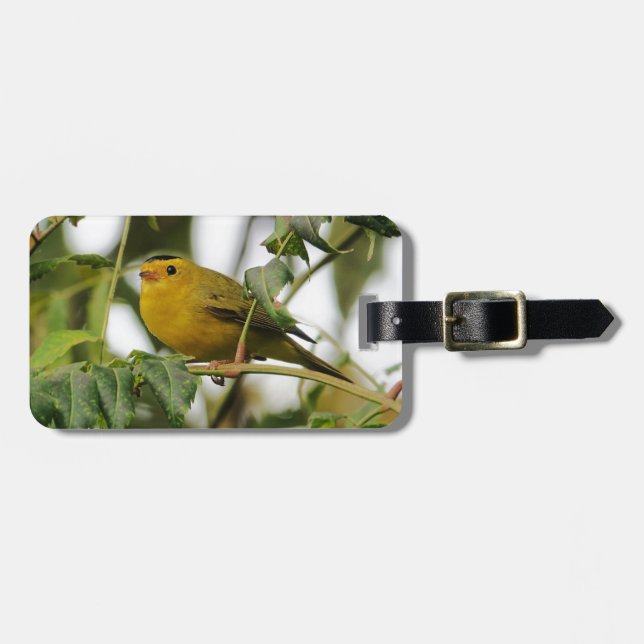 Bird Lovers Personalised  Luggage Tag (Front Horizontal)