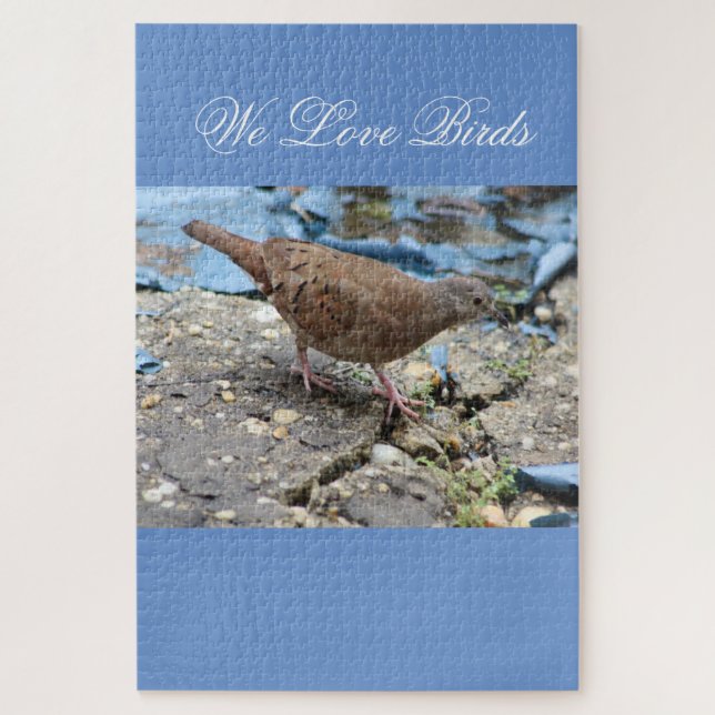 Bird Lovers Puzzle  (Vertical)