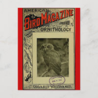 Bird Magazine jun 8 1903