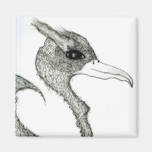 bird magnet