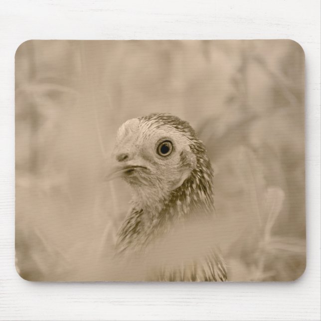 Bird Mouse Pad (Front)