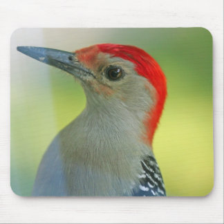 Bird Mouse pad 11