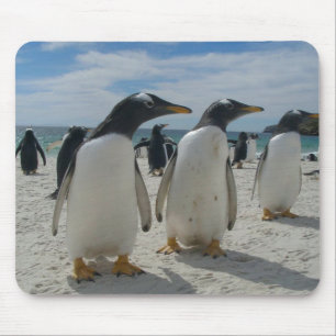 Bird Mouse pad 19