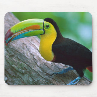Bird Mouse pad 25