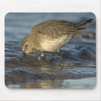Bird Mouse pad 3