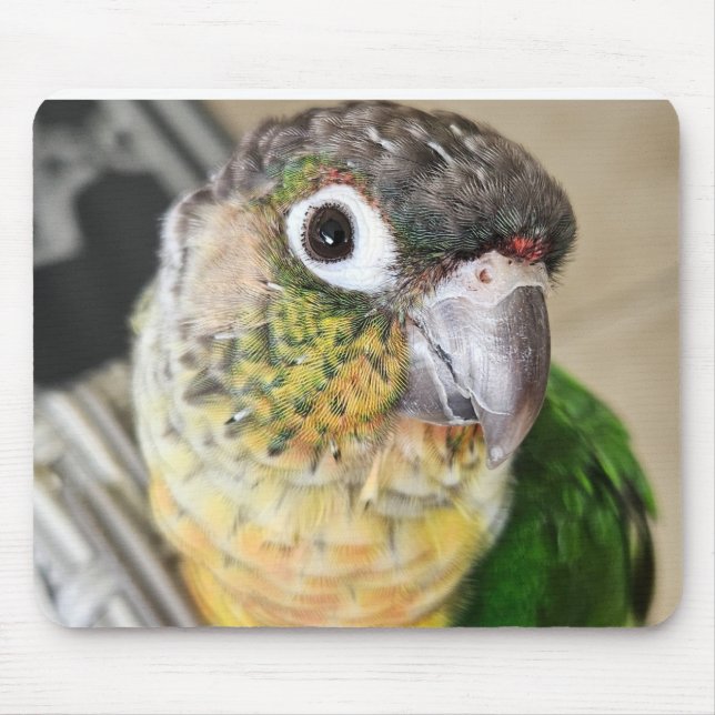 Bird Mouse Pad and Desk mat (Front)