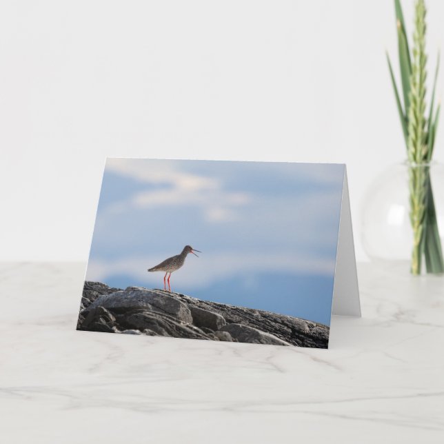 Bird Nature Photo Card (Front)