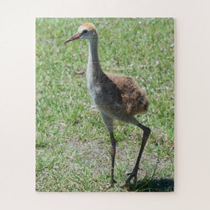 Bird Nature Sandhill Crane Wildlife Photography Jigsaw Puzzle