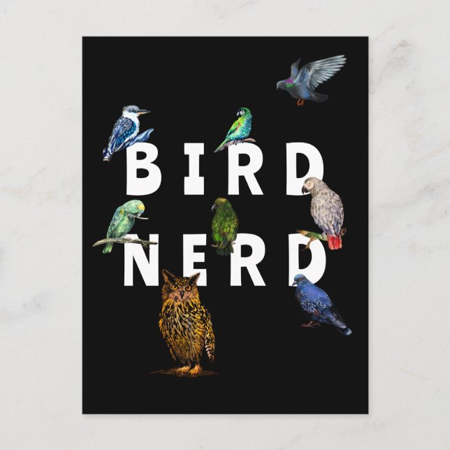 BIRD NERD, parrots, owl, pigeons, kookaburra Postcard (Front)