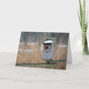 Bird, nest box with holiday wreath in winter