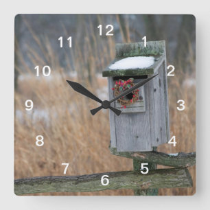Bird, nest box with holiday wreath in winter square wall clock