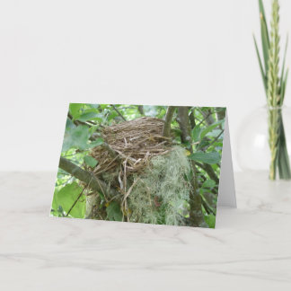 Bird nest notecard