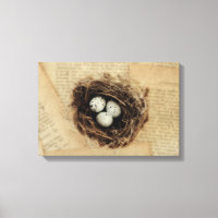 Bird Nest Old Vintage Antique Retro Brown Eggs