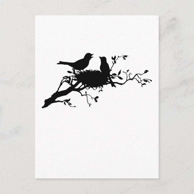 Bird Nest Postcard (Front)