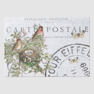 Bird Nest Postmark Butterfly Carte Postale Blue Tissue Paper