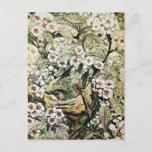 BIRD NEST,TREE WITH BROWN WHITE SPRING FLOWERS ANNOUNCEMENT POSTCARD