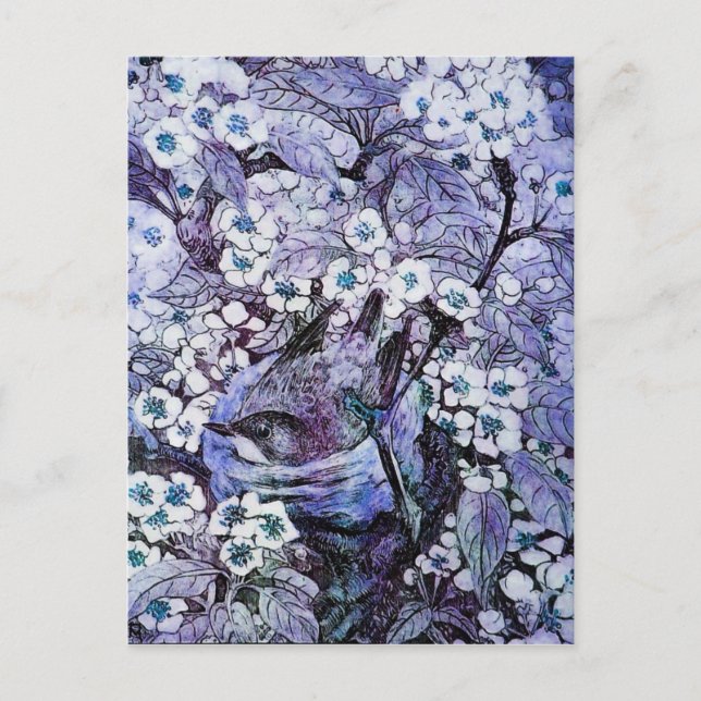 BIRD NEST ,TREE WITH WHITE BLUE SPRING FLOWERS POSTCARD (Front)