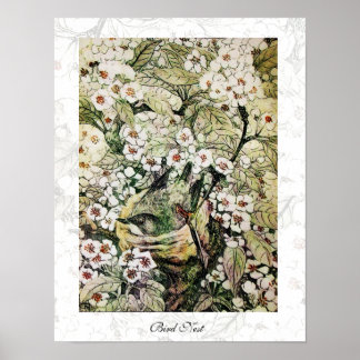 BIRD NEST ,white brown green yellow Poster