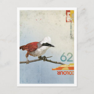 Bird No.3 Postcard