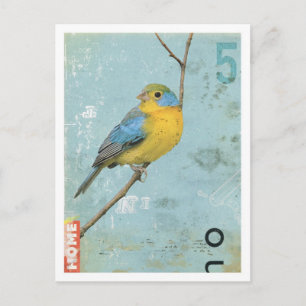 Bird No.5 Postcard