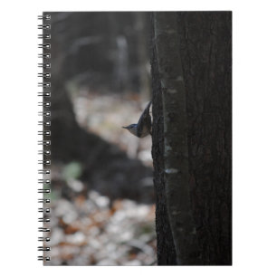 Bird Notebook