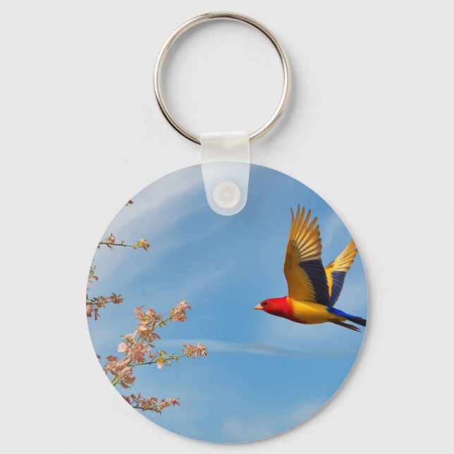 Bird of colours in nature's lap key ring (Front)