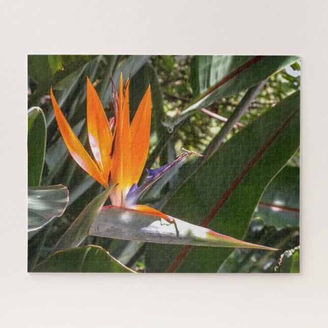Bird of Paradise #1  Jigsaw Puzzle (Horizontal)