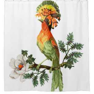 Bird of Paradise and exotic flowers on a white bac Shower Curtain