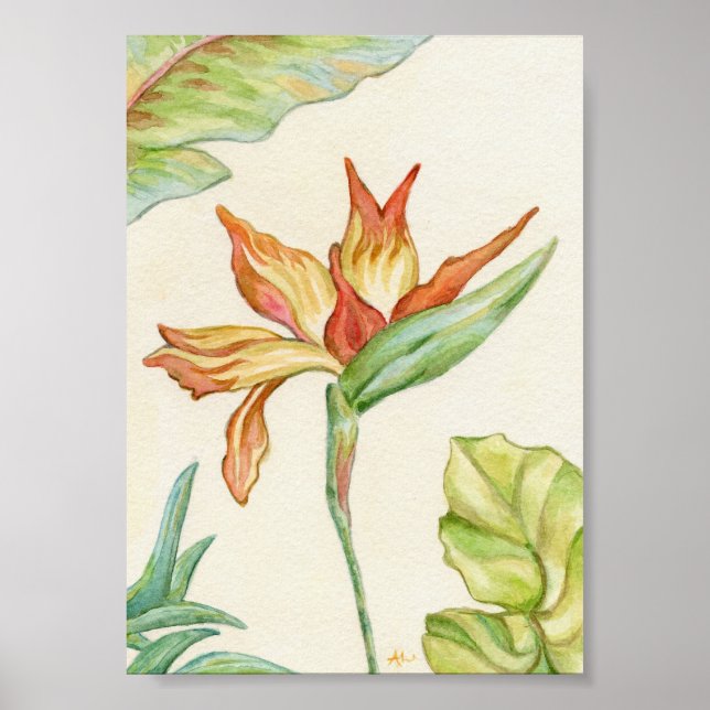 Bird of Paradise Art Print 5x7 (Front)