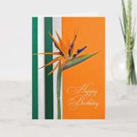 Bird of Paradise Birthday