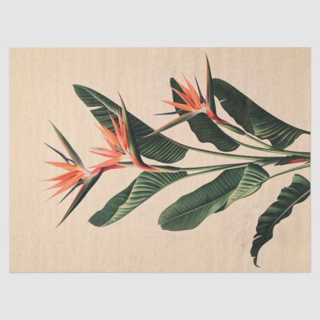 Bird of Paradise Botanical Art Decoupage Tissue Paper (Front)