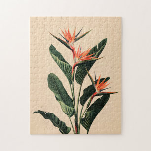 Bird of Paradise Botanical Art Jigsaw Puzzle