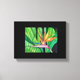 BIRD OF Paradise canvas Print