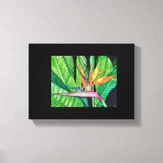 BIRD OF Paradise canvas Print