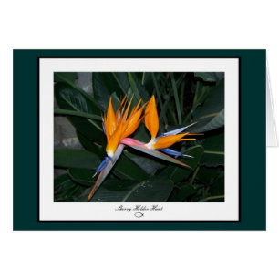 Bird of Paradise Card