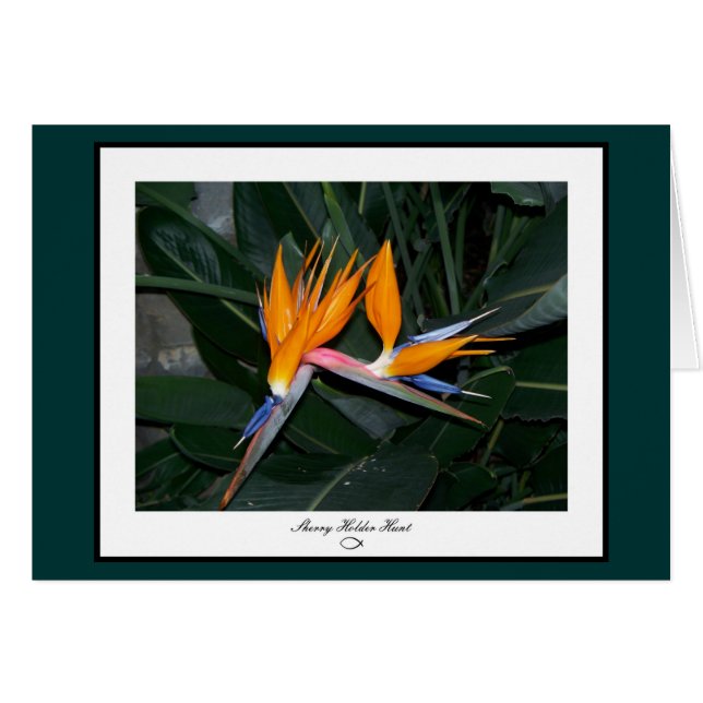 Bird of Paradise Card (Front Horizontal)