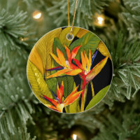 Bird of Paradise