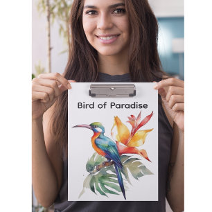 Bird of Paradise, colourful phantasy bird 'n flowe Clipboard