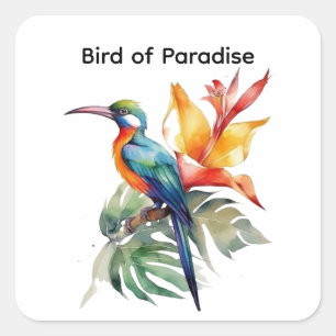 Bird of Paradise, customisable Square Sticker