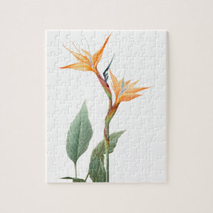Bird of paradise drawing (flower) jigsaw puzzle