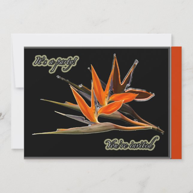 Bird of Paradise Floral Party Invitation (Front)