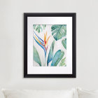 Bird of Paradise Florida Watercolors