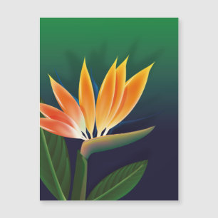 Bird of paradise flower