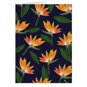 Bird of paradise flower