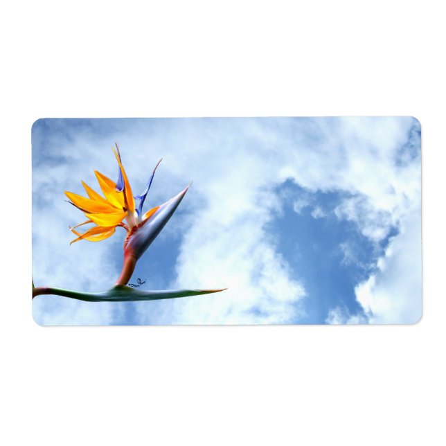 Bird of Paradise Flower (Front)